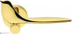 Дверная ручка на круглом основании COLOMBO Twitty TK11RSB-OL полированная латунь