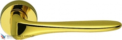 Дверная ручка на круглом основании COLOMBO Madi AM31RSB-OL полированная латунь